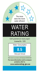 Wall Mixer with Diverter