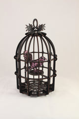 Black Bird Cage