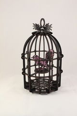 Black Bird Cage