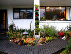Hanging Garden V