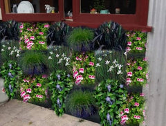 Hanging Gardens 3